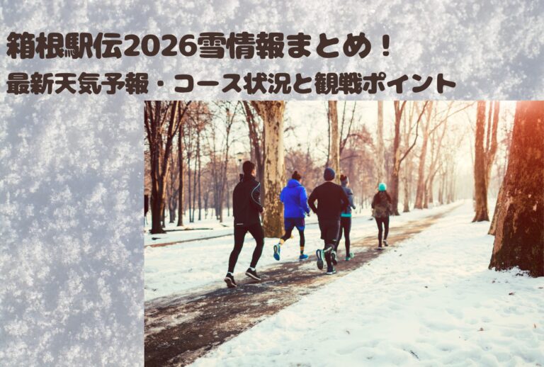 箱根駅伝2026雪情報まとめ！最新天気予報・コース状況と観戦ポイント